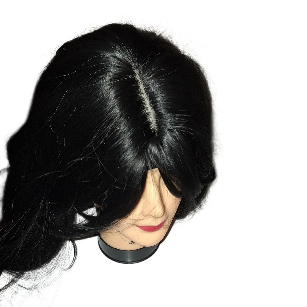 Black Wig with Bangs 24 inches Cosplay Party Daily Use Synthetic NEW